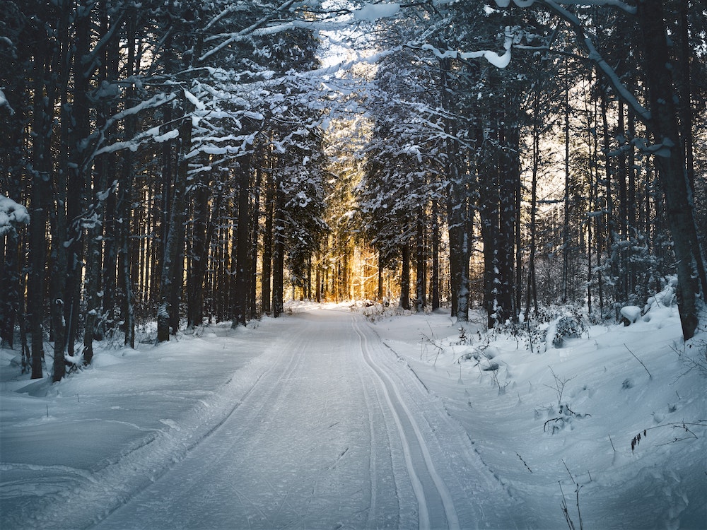 snowy walk